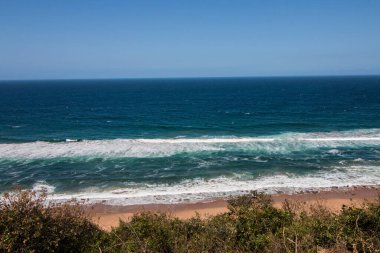 Kum tepelerinde yetişen yoğun bitki örtüsü ve okyanusun kıyısında kısa bir çizgi.
