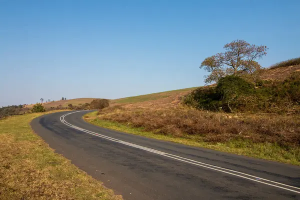 Asfalterad Landsväg Som Löper Genom Grön Vegetation Sydafrika — Stockfoto