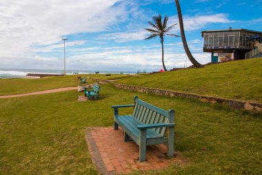 Sahilde denize bakan çimenli yamaçlarda yeşil banklar