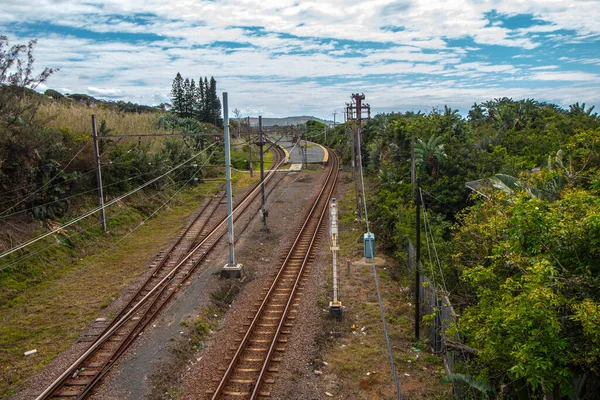 Järnvägsspår Omgivna Grön Vegetation Lantlig Miljö — Stockfoto