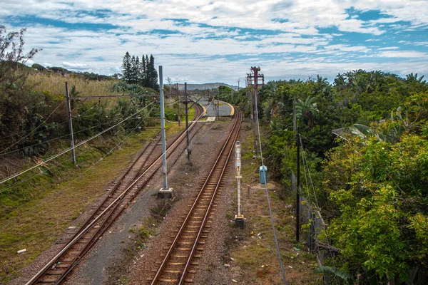 Percorsi Ferroviari Immersi Nel Verde Della Vegetazione Ambiente Rurale — Foto Stock