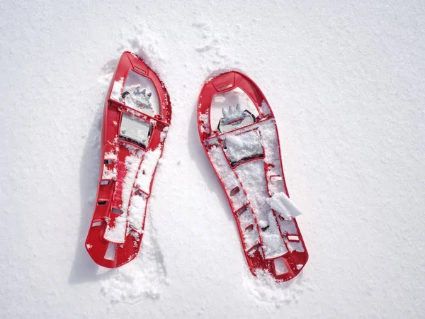 Dağlarda Kar Ayakkabıları Polonyalılar Sırt Çantası Ile Hiking Kış Toz — Stok fotoğraf
