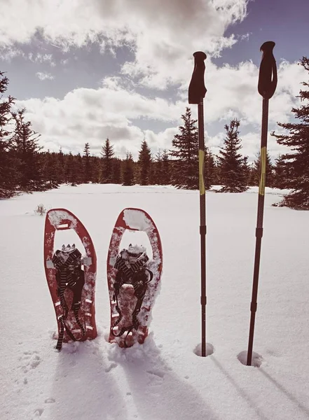 Raquetas Nieve Nieve Sendero Invierno Sobre Colinas Nevadas Montañas Paseos — Foto de Stock