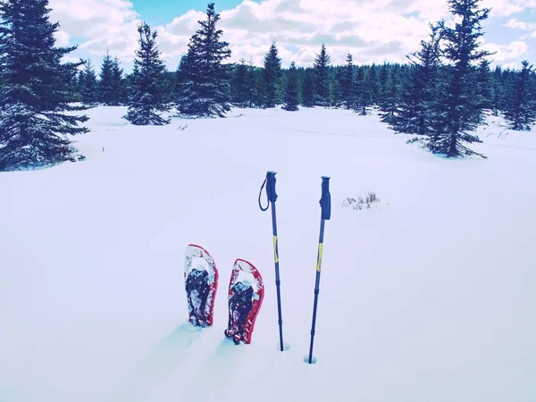 Red Snowshoes Trekking Poles Ready Snow Winter Vacation Mountains Winter — Stock Photo, Image