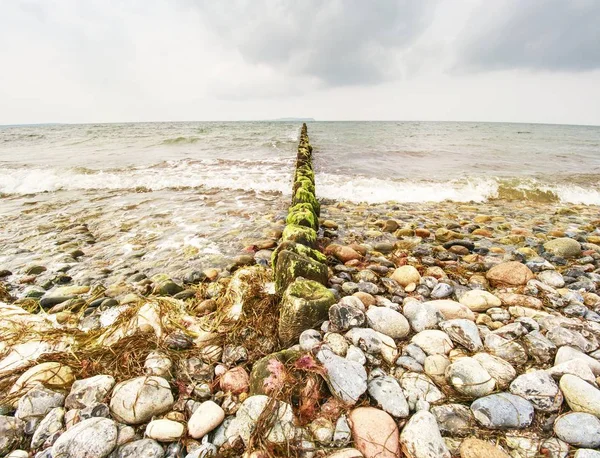 Moosige Wellenbrecher Schäumenden Wasser Des Meeres Sandstrand Mit Algen Steinen — Stockfoto