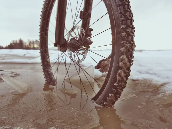 Hjulet Föll Lerig Pöl Medan Mtb Vinterresa Vatten Gömd Snö — Stockfoto