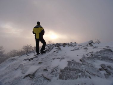Kış puslu manzara. Turist sıcak giysiler ile dondurulmuş kayalık tepe üzerinde yoğun bir sis evde. Milli Parkı. 