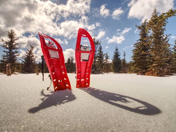 Set Roter Schneeschuhe Schneeschuhe Und Rucksack Stehen Schnee Den Bergen — Stockfoto