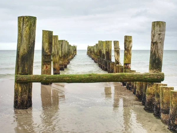 Deniz Köprüsü bir iskele ve yaz aylarında yerlere atlama ile. Eski ahşap köprü ya da deniz parkında. 