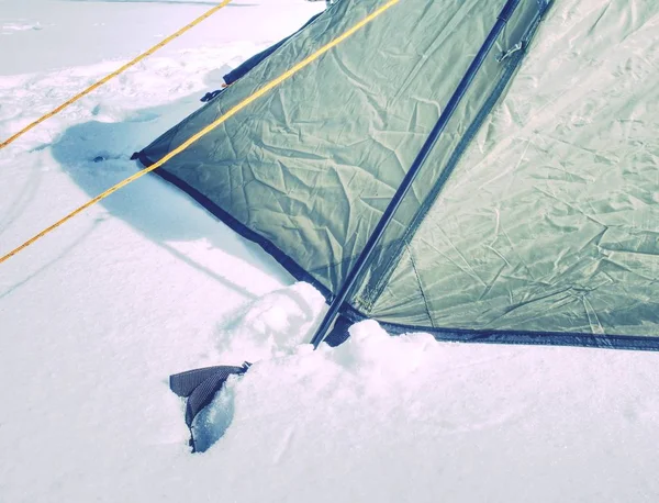 Rep Ett Camp Tält Detalj Förankrade Tält Snöiga Marken Inom — Stockfoto