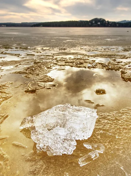 Winter Natural Wonder Yellow Pieces Snow Melting Beach Wonderful Nature — Stock Photo, Image