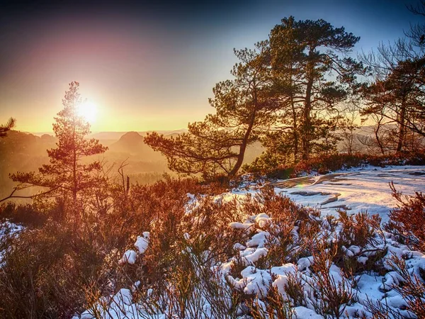 Podziwiać Wiosnę Szlak Snowy Gór Skalistych Widok Drzewa Koryta Mglisty — Zdjęcie stockowe