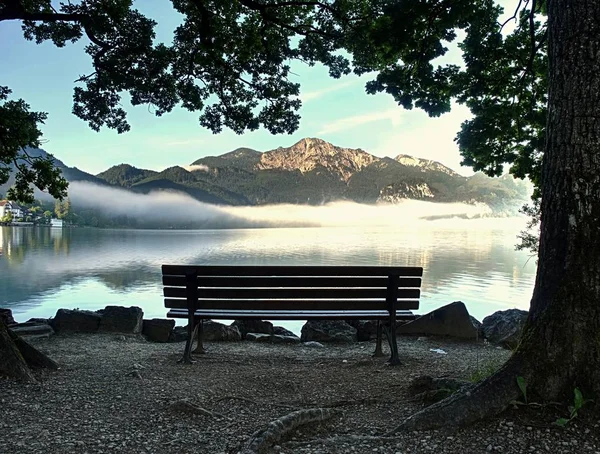 View Lake Landscape Bench Foreground Ready Relax Coast Bended Tree — Stock Photo, Image