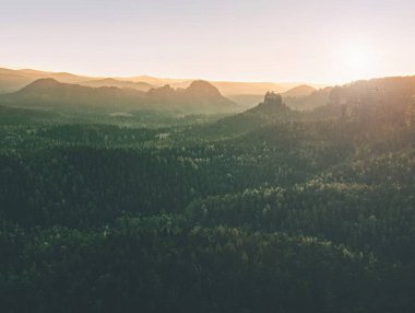 Tonda resimde güzel misty gündoğumu. Sonbahar dağlık manzara ile shinning sis kaplı. Güçlü güneş için karşı ağaçlarının keskin özetliyor.
