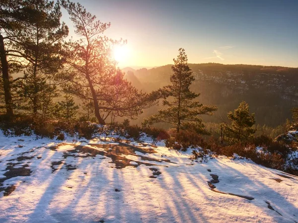 Pobyt Śnieżnym Lesie Górze Pierwszy Ciepły Sunrays Przejść Przez Gałęzie — Zdjęcie stockowe
