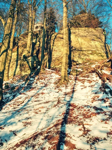 Verschneite Waldstraße Frühen Winterwald Sonniger Tag Frischer Pulverschnee Mit Gelb — Stockfoto