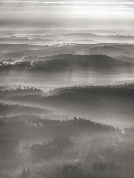 Verträumte Landschaft Verloren Dichten Nebel Fantastische Morgenglut Durch Sanftes Sonnenlicht — Stockfoto