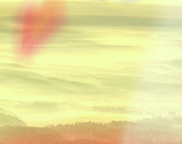 清晨的阳光下有雾的森林景观 梦幻般的 Areial 山森林在云彩 — 图库照片