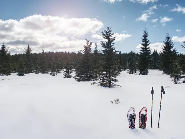 山中の柔らかい雪の上を歩くためのスノーシュー 冬のスポーツ活動の概念 — ストック写真