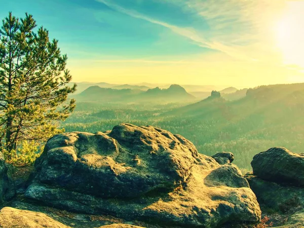 Schöne Herbstkulisse Nach Sonnenaufgang Natürliche Außen Saisonalen Herbst Hintergrund Mit — Stockfoto