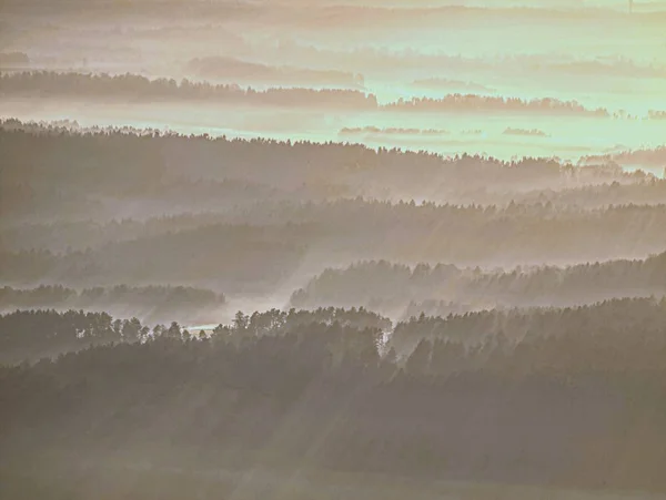 Altın Sis Yatay Yuvarlak Tepelerde Yukarıda Anahat Sabah Altın Işık — Stok fotoğraf