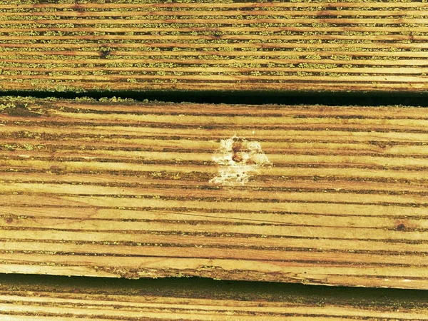 木製の床ボード 古い木製の背景と保護透明塗料で塗装のクラックします — ストック写真