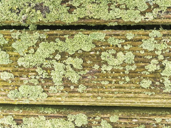 汚れた古い風化木の板壁の外 屋外テラスのフロアー リング — ストック写真