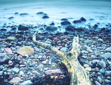 Romantik bir atmosfer deniz renkli günbatımında. Taşlı beach çökmekten ağaç. Baltık Denizi kıyısında ada Rügen, Almanya.
