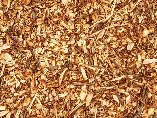 Astillas Madera Fresca Mulch Basura Serrín Bosque Los Montículos Astillas — Foto de Stock