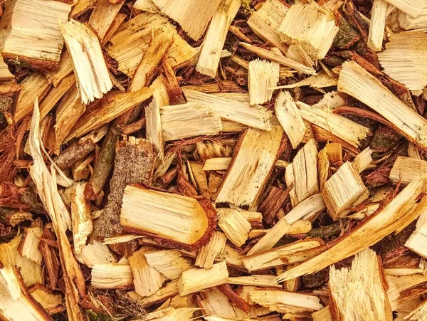 Pila Astillas Madera Serrín Puede Utilizar Para Fabricación Biocombustibles Chips — Foto de Stock