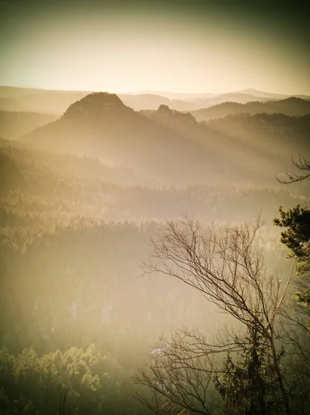 Ανοιξιάτικη Φύση Πρωί Ραγισμένα Ψαμμίτη Βράχο Πάνω Από Την Κοιλάδα — Φωτογραφία Αρχείου