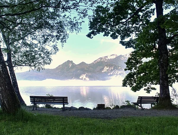 View Lake Landscape Bench Foreground Ready Relax Coast Bended Tree — Stock Photo, Image