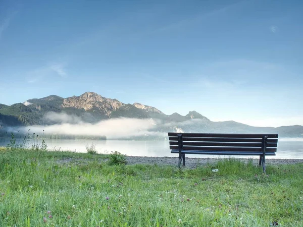 Bench Tree Lake Shore Mountains Background Take Rest Blue Green — Stock Photo, Image