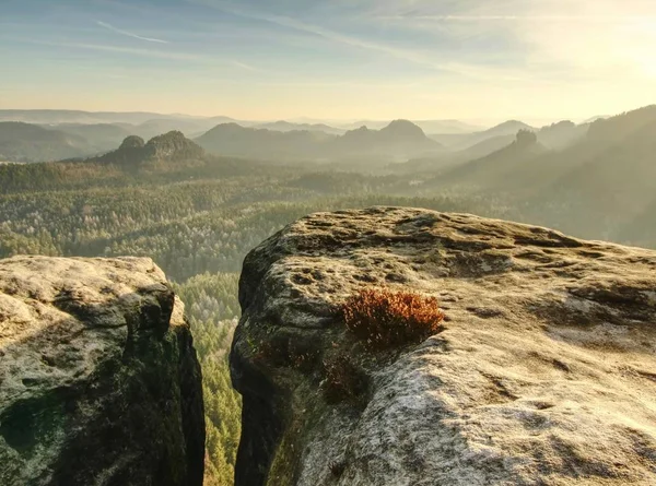 Sisli vadinin sabah görünüme kumtaşı uçuruma. Kumtaşı doruklarına sisli bulutu sıcak renkleri arttı.