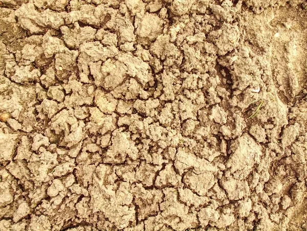 地球温暖化 干ばつは 砂漠の風景を割った 気候変動 深い浸食亀裂 — ストック写真
