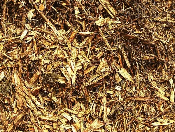 Waste Sawmill Bark Chips Stack Raw Material Log Yellow Brown — Stock Photo, Image