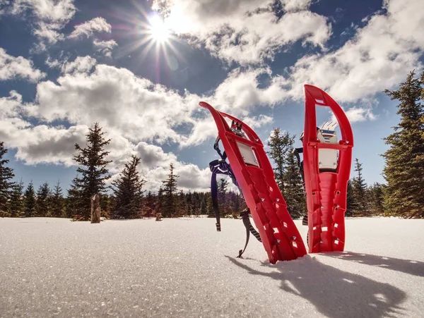 Sapatilhas Neve Para Caminhar Sobre Neve Suave Nas Montanhas Conceito — Fotografia de Stock