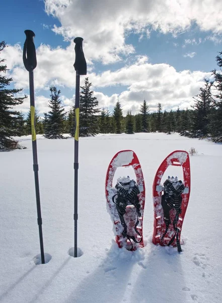 Yumuşak Karda Dağlarda Yürüyüş Için Kar Ayakkabıları Kış Spor Etkinlik — Stok fotoğraf