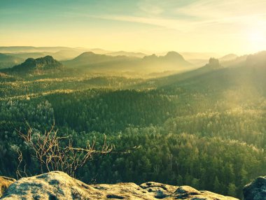 Tonda resimde güzel misty gündoğumu. Sonbahar dağlık manzara ile shinning sis kaplı. Güçlü güneş için karşı ağaçlarının keskin özetliyor.