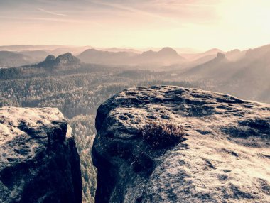 Sonbahar gündoğumu. Güzel bir dağlık manzara inversiyon hava içinde derin ormanlık. Ağaç seviyesinde, atışa sisli kökenli arttı. Canlı doğurur