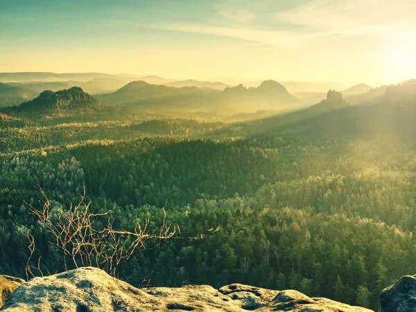 Tonda resimde güzel misty gündoğumu. Sonbahar dağlık manzara ile shinning sis kaplı. Güçlü güneş için karşı ağaçlarının keskin özetliyor.