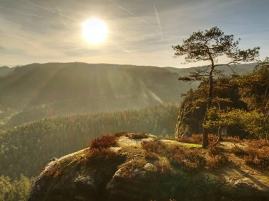 Sonbahar gündoğumu. Güzel bir dağlık manzara inversiyon hava içinde derin ormanlık. Ağaç seviyesinde, atışa sisli kökenli arttı. Canlı doğurur