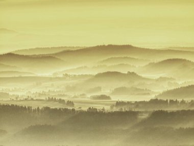 Sabah güneşi sisli orman manzara. Orman Manzara harika areial görünüme. Bulutlar dağ orman 
