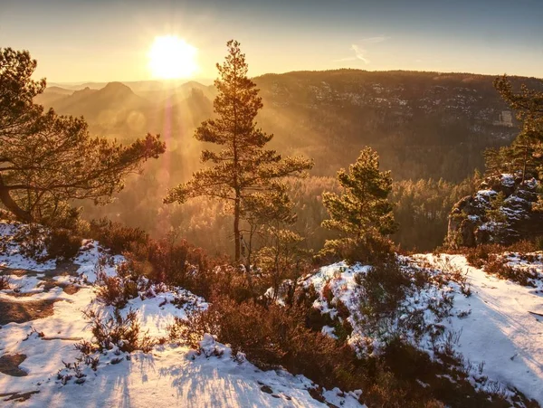 Disfrute Sendero Primavera Sobre Montañas Rocosas Nevadas Vista Través Árboles — Foto de Stock