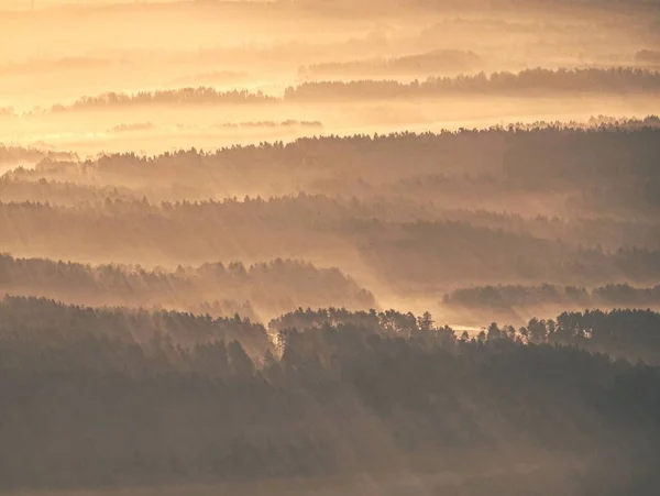 Paysage Forestier Brumeux Soleil Matin Fantastique Vue Aréiale Sur Paysage — Photo