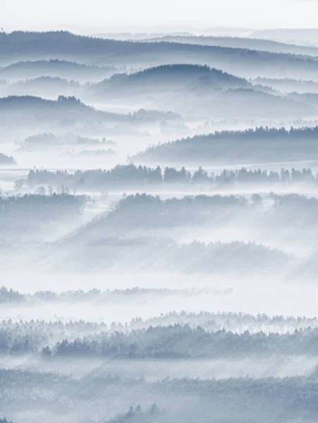 Ομιχλώδες Δάσος Τοπίο Στον Πρωινό Ήλιο Areial Θέα Στο Τοπίο — Φωτογραφία Αρχείου