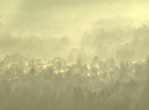 Bajkowe Okolice Stracił Gęstej Mgle Fantastyczne Rano Świecące Przez Delikatne — Zdjęcie stockowe