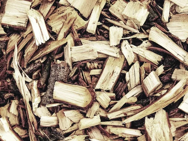 Fresh Wooden Chips Mulch Sawdust Garbage Forest Mounds Wood Chips — Stock Photo, Image