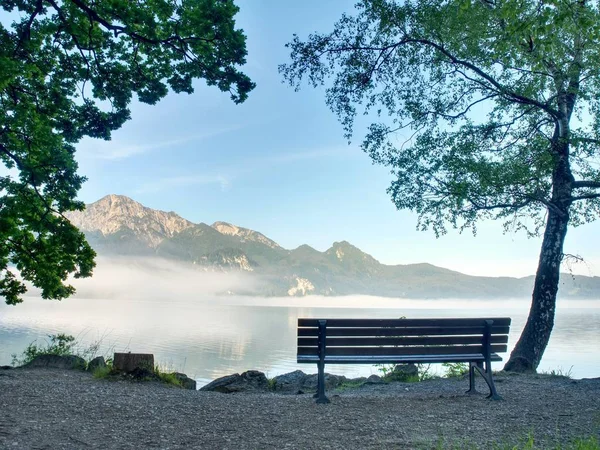 View Lake Landscape Bench Foreground Ready Relax Coast Bended Tree — Stock Photo, Image