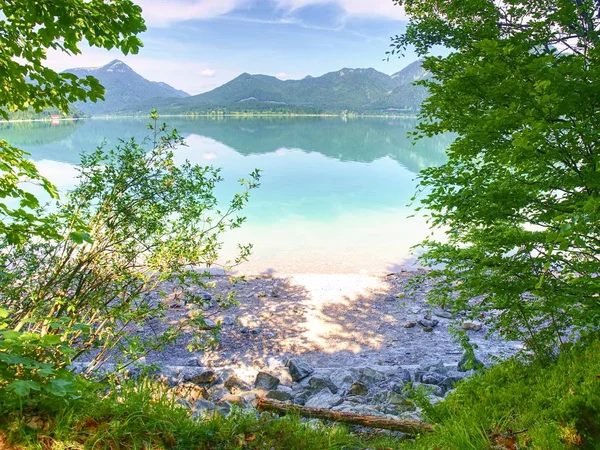 Spring Mountain Lake Reflection Branch Morning Walk Alpine Blue Lak — Stock Photo, Image